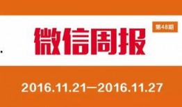 罗沙最新爆料公司,揭秘公司内部惊人内幕