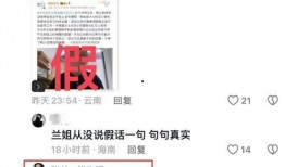 胡律师独家最新爆料,最新独家爆料震惊业界